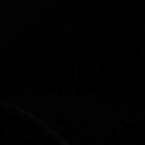 Meet your Posher, Arlene